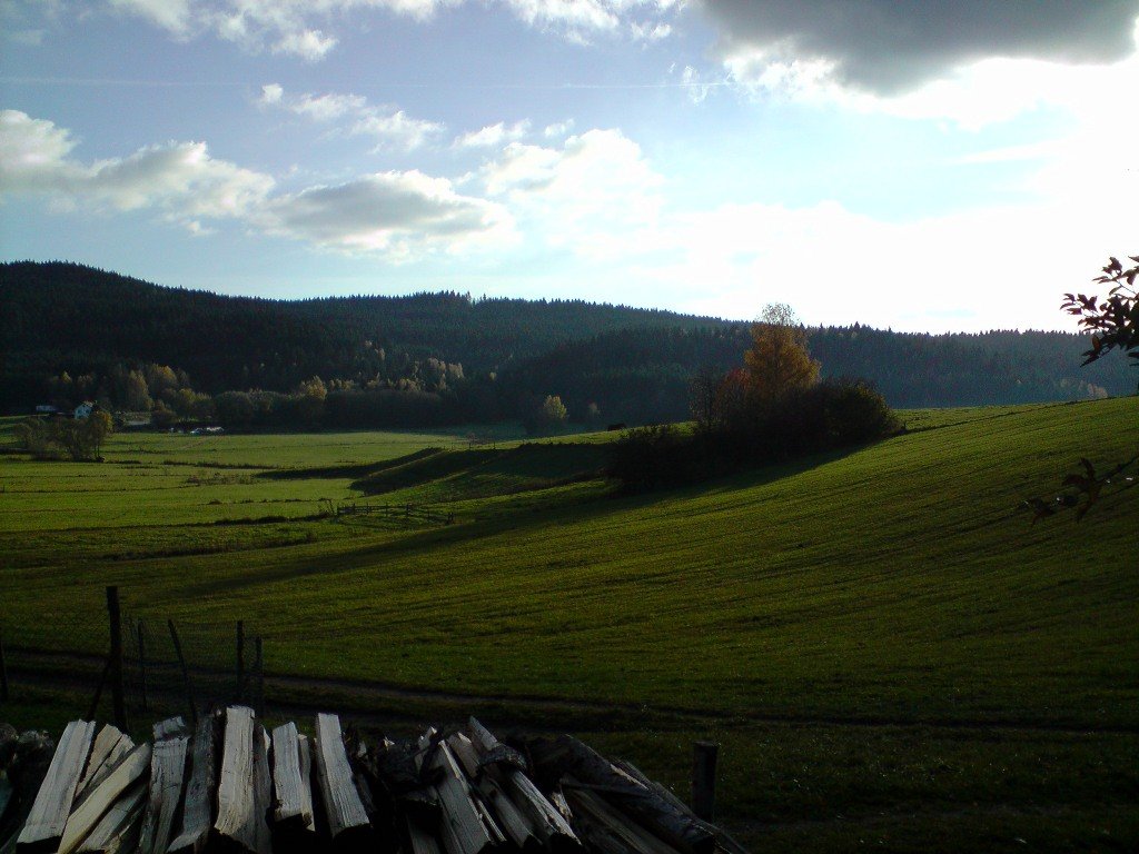 baernzell_sued.jpg - Hier schaut der Fotograf in Bärnzell nach Süden.