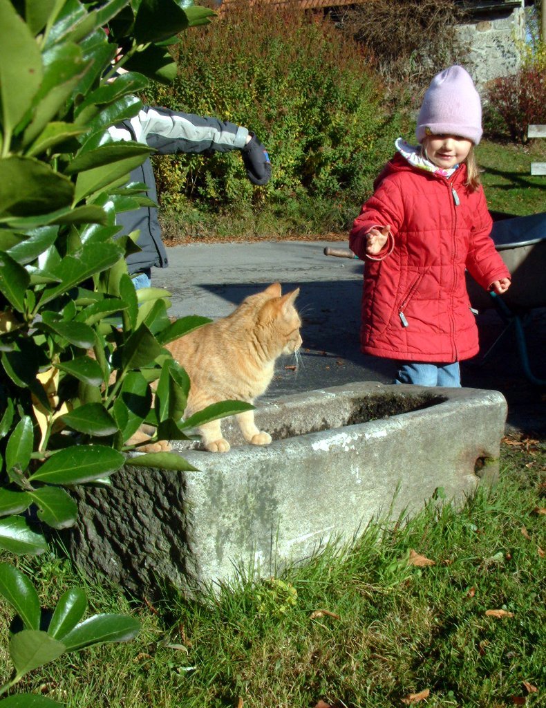 brotbacken_jannika_jagt_katze.jpg - ...und Jannika probiert derweil lieber, eine Katze zu fangen...