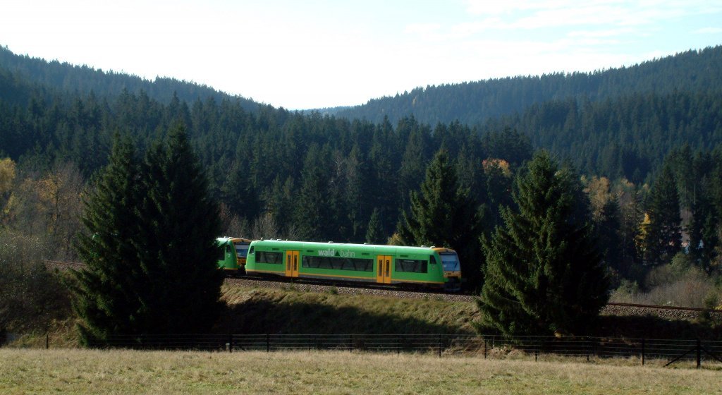 park_waldbahn.jpg - Am Rand des Nationalparks fährt die Waldbahn.