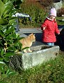 brotbacken_jannika_jagt_katze