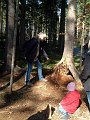 park_stelzwurzler