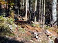 park_such_den_wolf