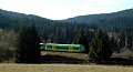 park_waldbahn