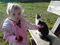 paula_katze