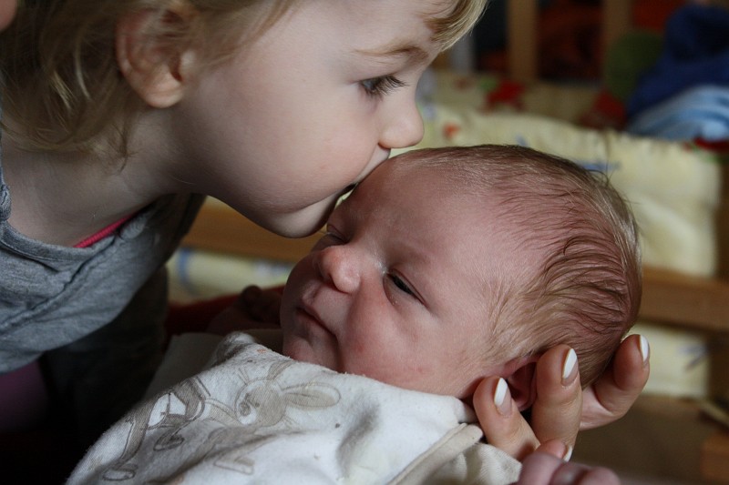 IMG_1643.JPG - Jetzt wird geschmust! Das Foto sieht vielleicht etwas widersprüchlich aus; deshalb von links nach Rechts: Paula, Oskar, Mamas Hand.