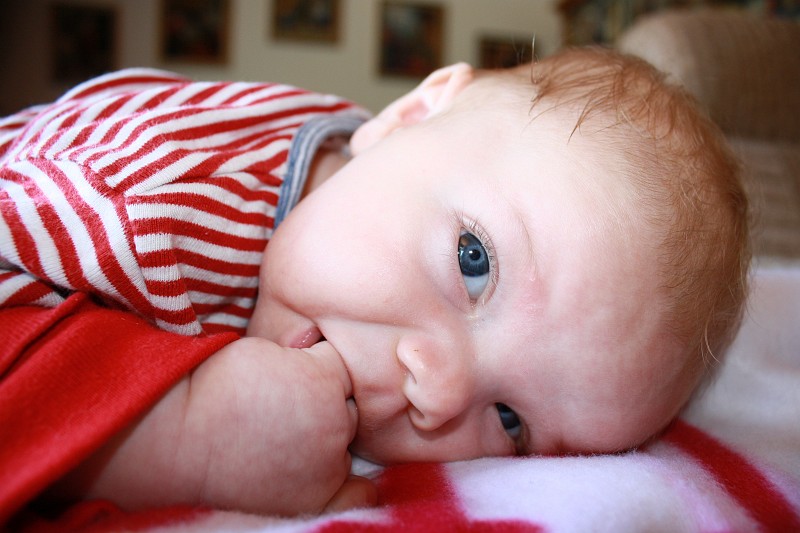 IMG_2651.JPG - Also, Mama, wenn du jetzt nicht bald deinen Busen rausrückst, fress ich meine Hand!!!! :-)