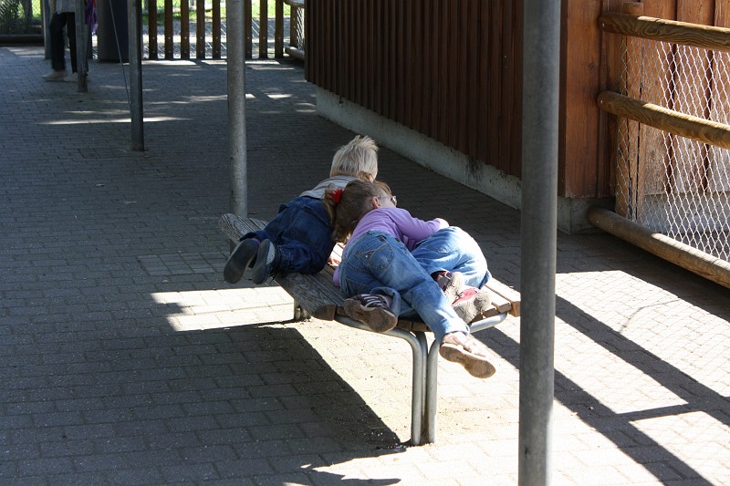IMG_6718.JPG - Ein Haufen Kinder, irgendwo in der Wilhelma.