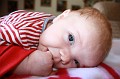 IMG_2651