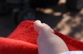 IMG_3334