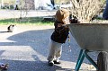 IMG_5678