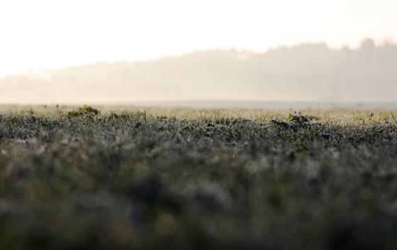 20140328_morgenfotosafari3.jpg