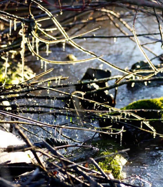 20140328_morgenfotosafari4.jpg