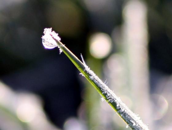 20140328_morgenfotosafari6b.jpg