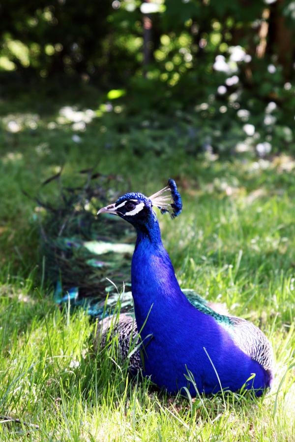 20180506_fau.jpg