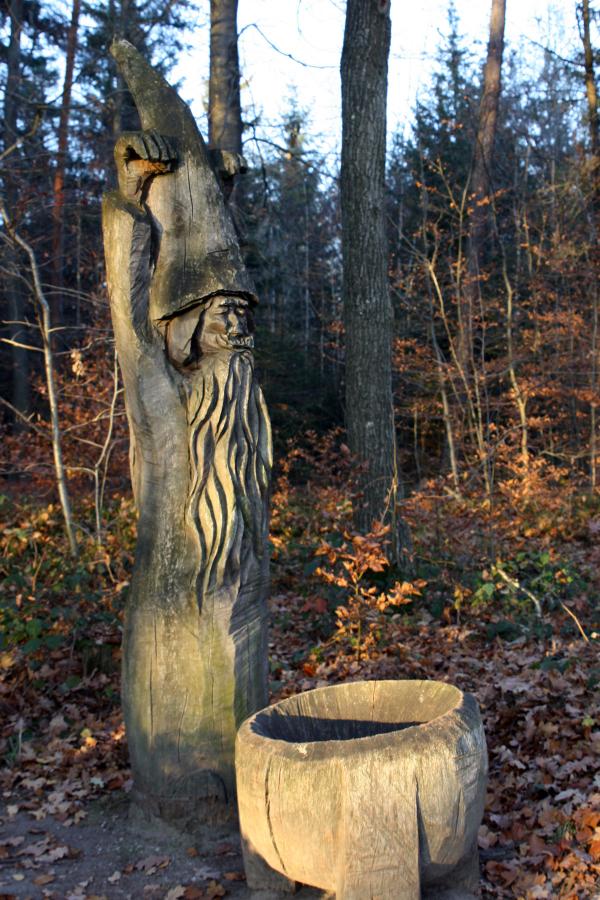 20181118_zauberwald.jpg