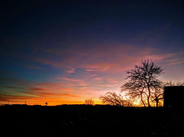 20190226_sunset.jpg