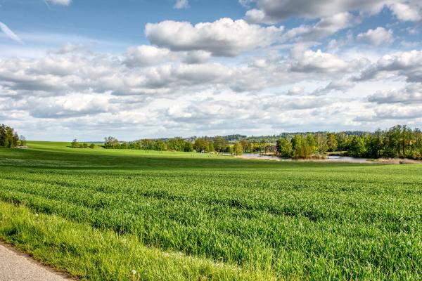 20190512_asbacher_weiher.jpg