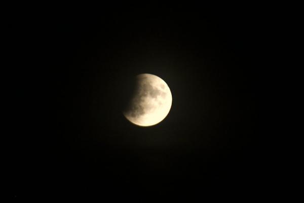 20190716_mofi2.jpg
