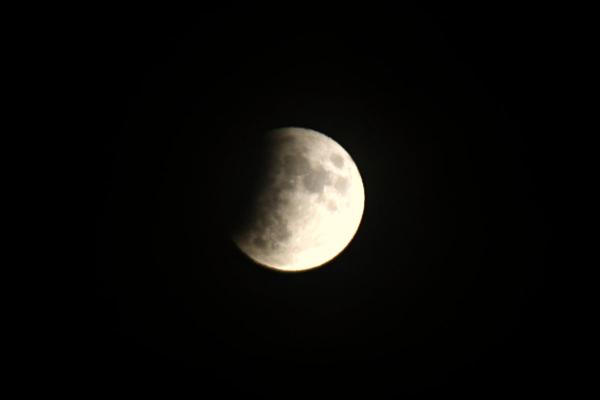20190716_mofi3.jpg