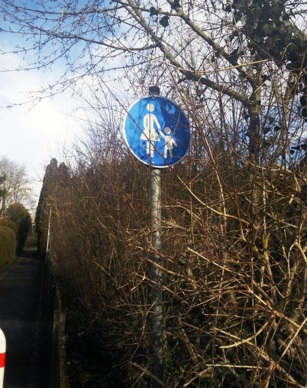 20200201_gehweg.jpg
