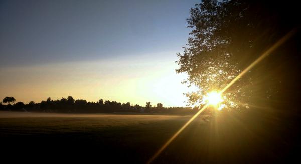 20200624_morgennebel.jpg