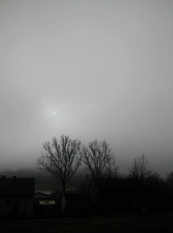 20201128_grau.jpg