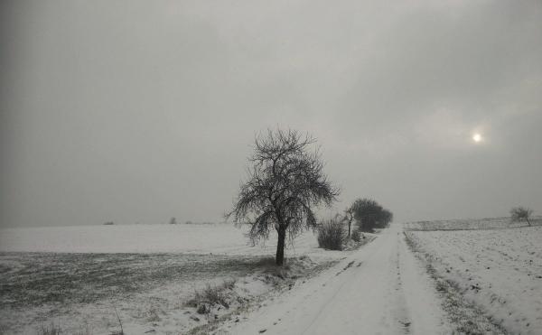 20210106_sonne.jpg