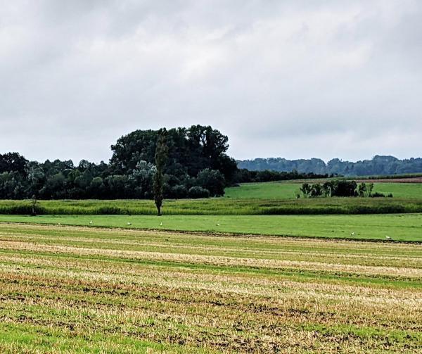20210831_siebenstoerche.jpg