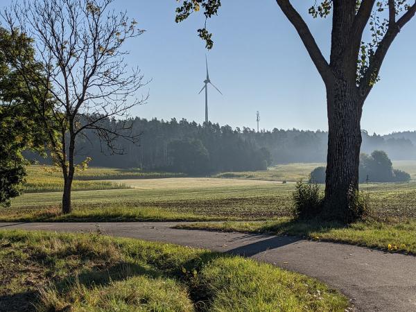 20210925_fuchs_suchbild1.jpg