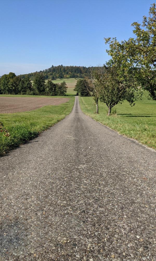 20211010_weg.jpg