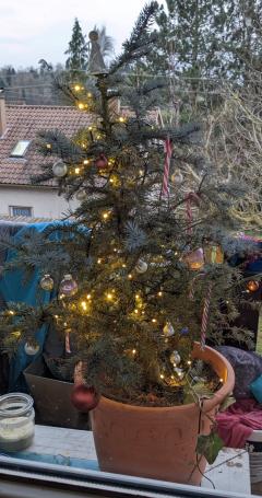 20211224_baum.jpg