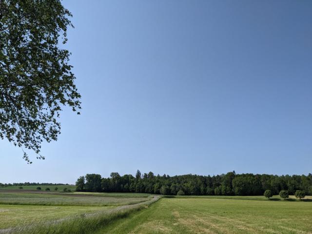 20230529_zehnstorch1.jpg