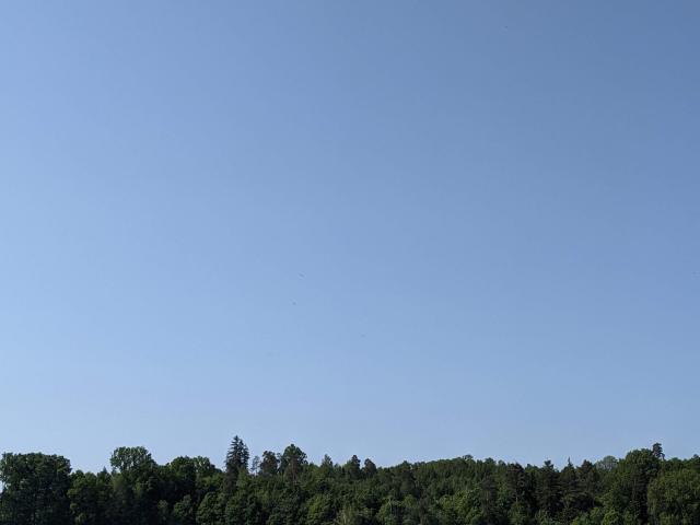 20230529_zehnstorch2.jpg