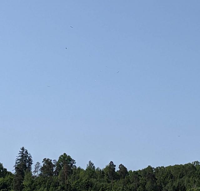 20230529_zehnstorch3.jpg