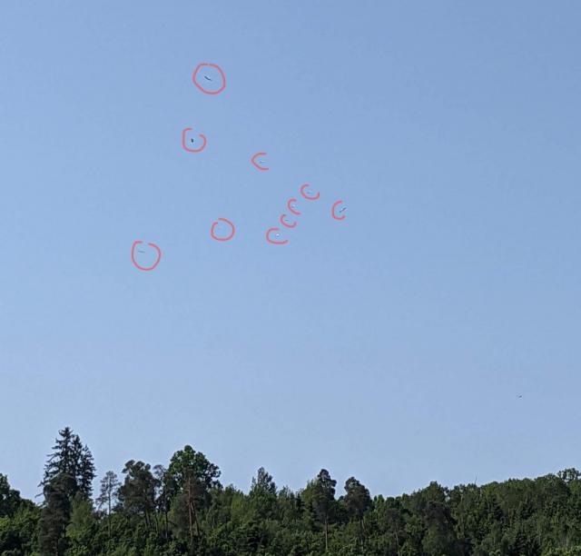 20230529_zehnstorch4.jpg