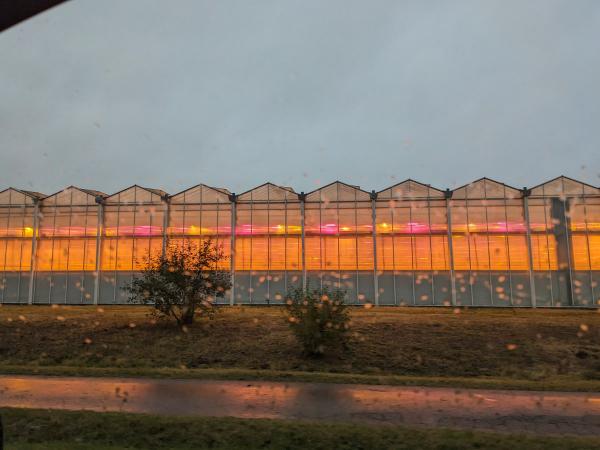 20231021_rosawolkenmacher.jpg