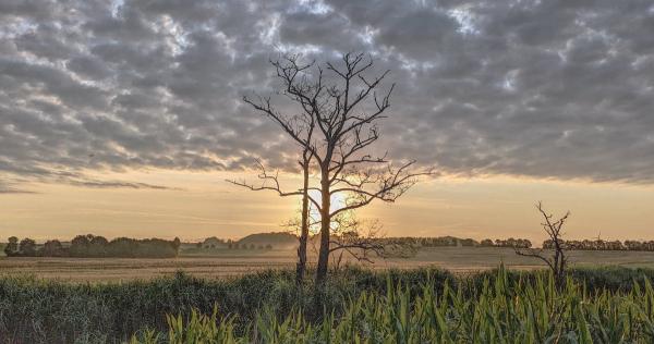 20240719_sonnenaufgang.jpg