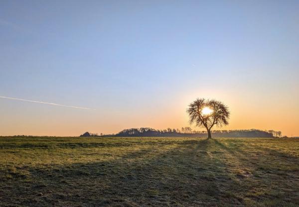 20250405_sonnenaufgang_kressberg.jpg