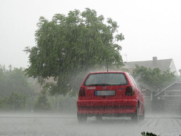 20280814_natur_starkregen_karlsruhe_deutschland.jpg