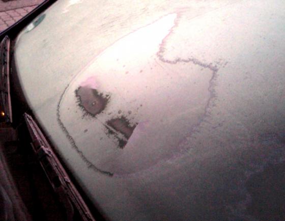 angry_kitty.jpg