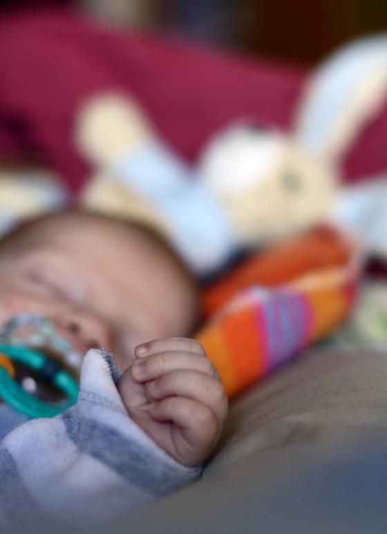 babypfote_iii.jpg
