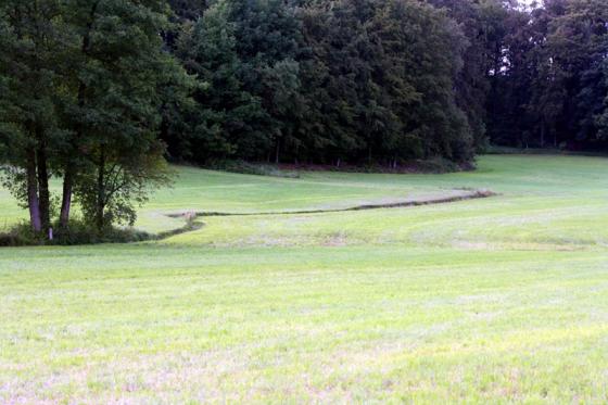 bachlauf_in_der_wiese.jpg