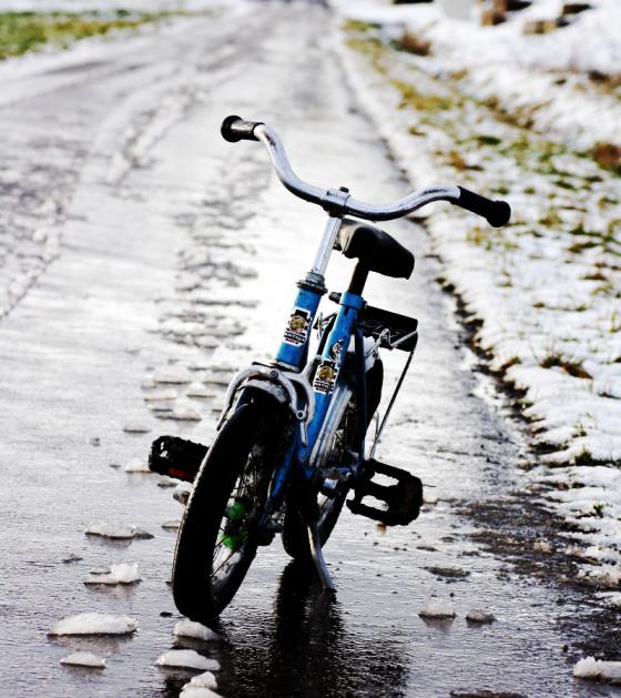 des_meisters_bike.jpg