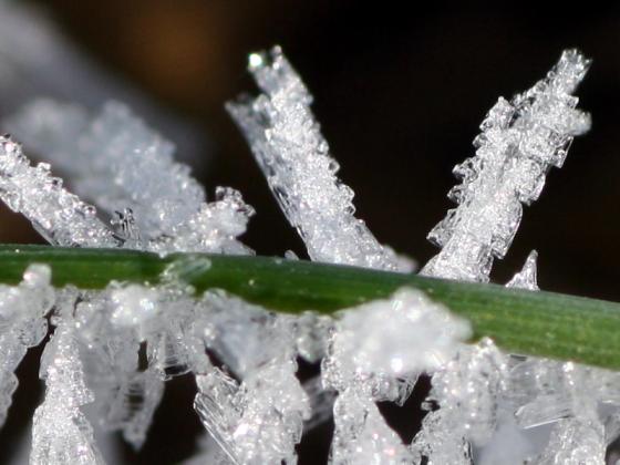 eiskristalle_detail_20150106.jpg