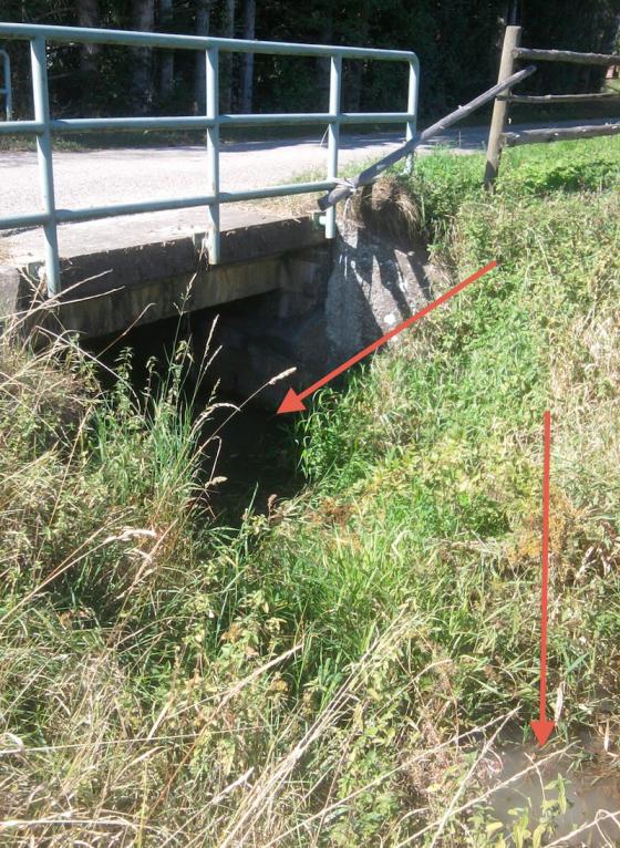 hochwasser.jpg