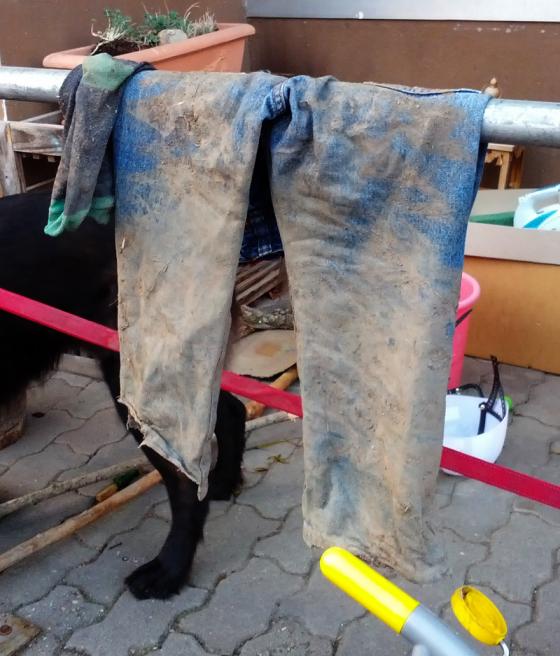 junior_bach_hose.jpg