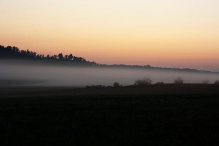 kressberg_nebelmorgen.jpg