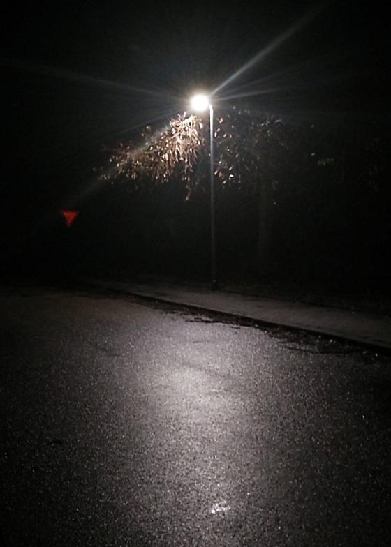 led_strassenlampe_marktlustenau.jpg