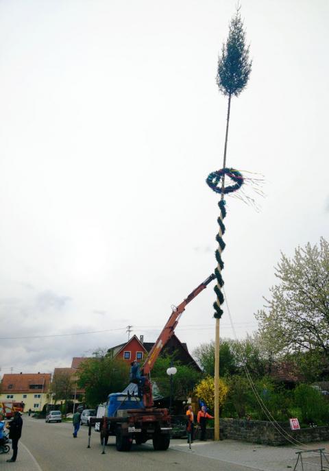 maibaumaufstellen_20150430.jpg