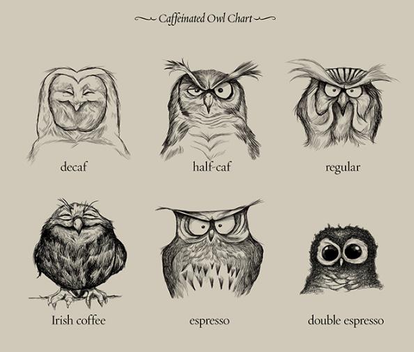 monkeyworks_org_dave_mottram_caff.jpg